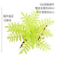 uploads/erp/collection/images/Home Garden/CongDing/XU0610638/img_b/XU0610638_img_b_4